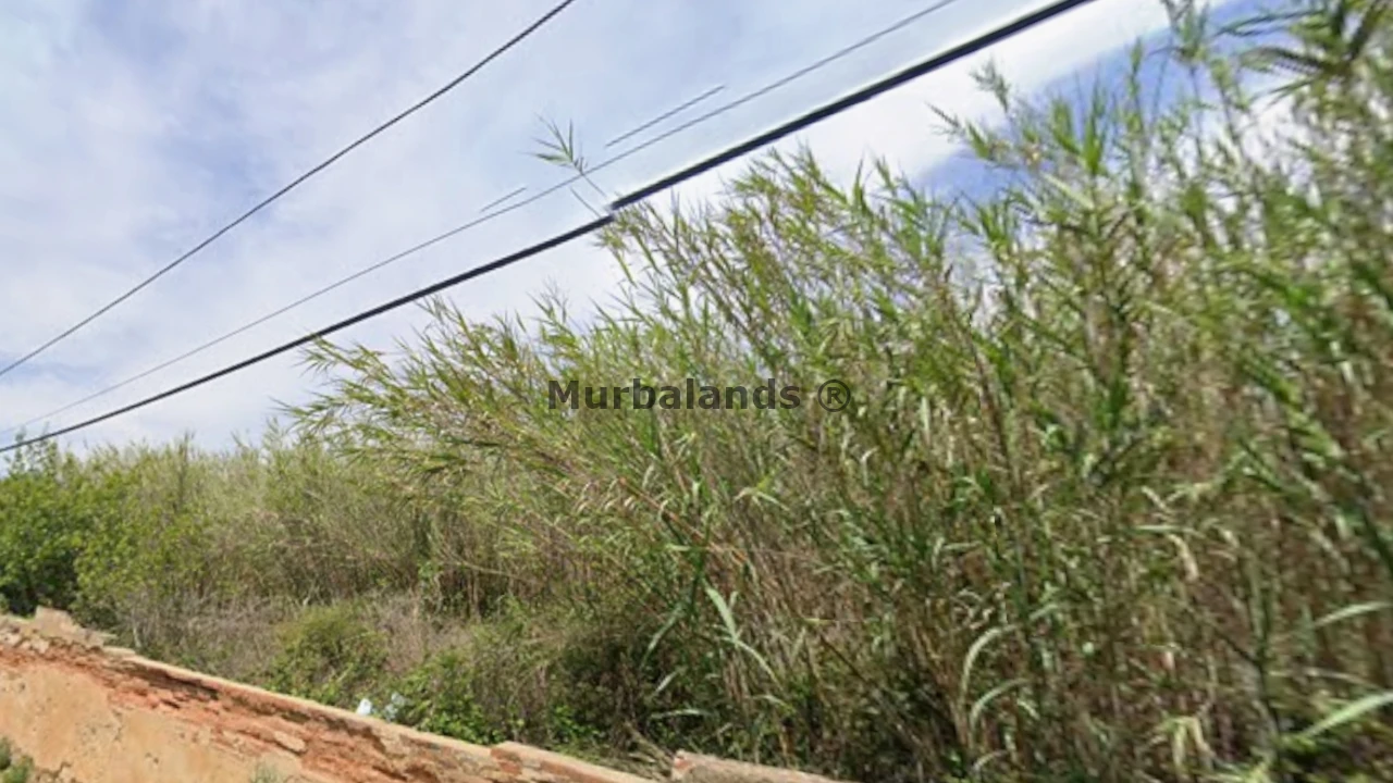 Foto de un terreno o una obra parada para mostrar en el detalle del inmueble