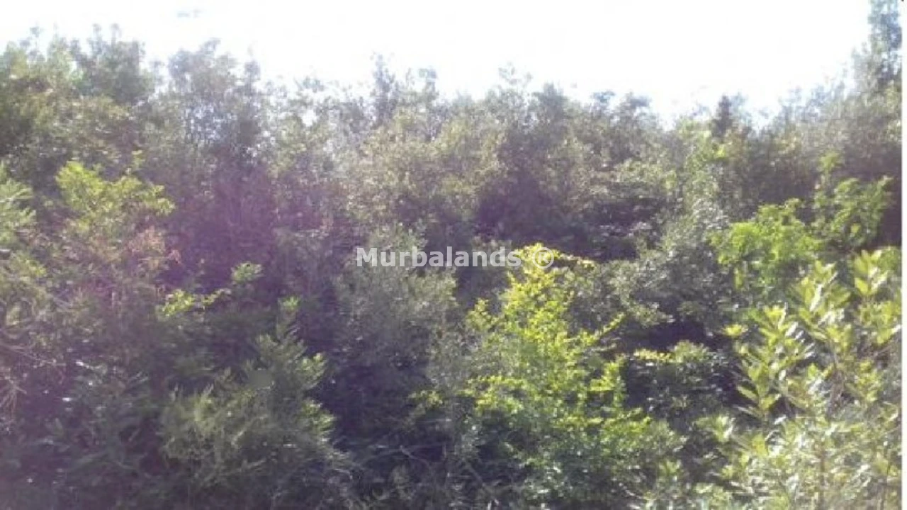 Foto de un terreno o una obra parada para mostrar en el detalle del inmueble