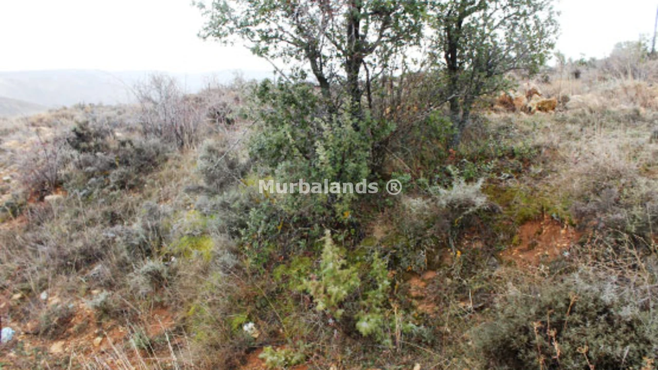 Foto 5 del terreno Ref. 00003727