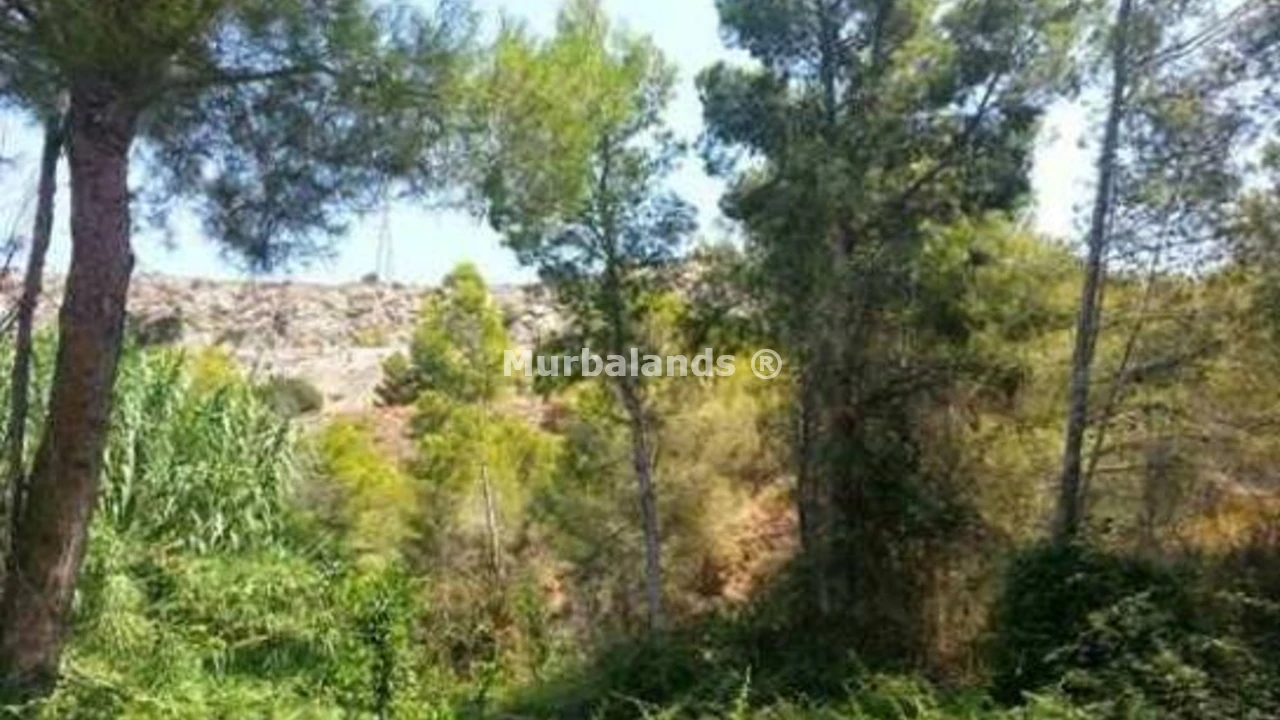 Foto de un terreno o una obra parada para mostrar en el detalle del inmueble