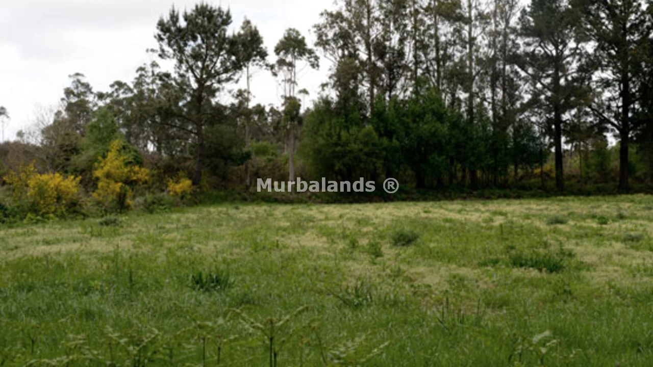 Foto de un terreno o una obra parada para mostrar en el detalle del inmueble