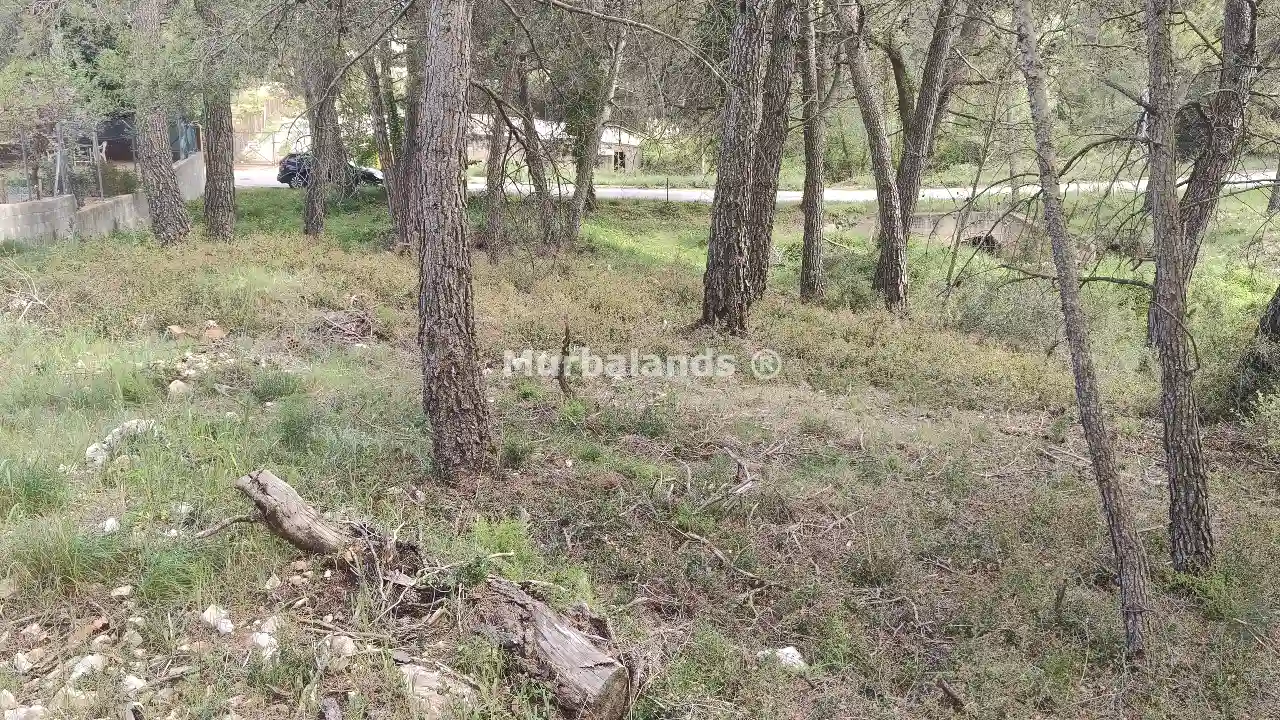 Foto del anuncio Ref. 00005344