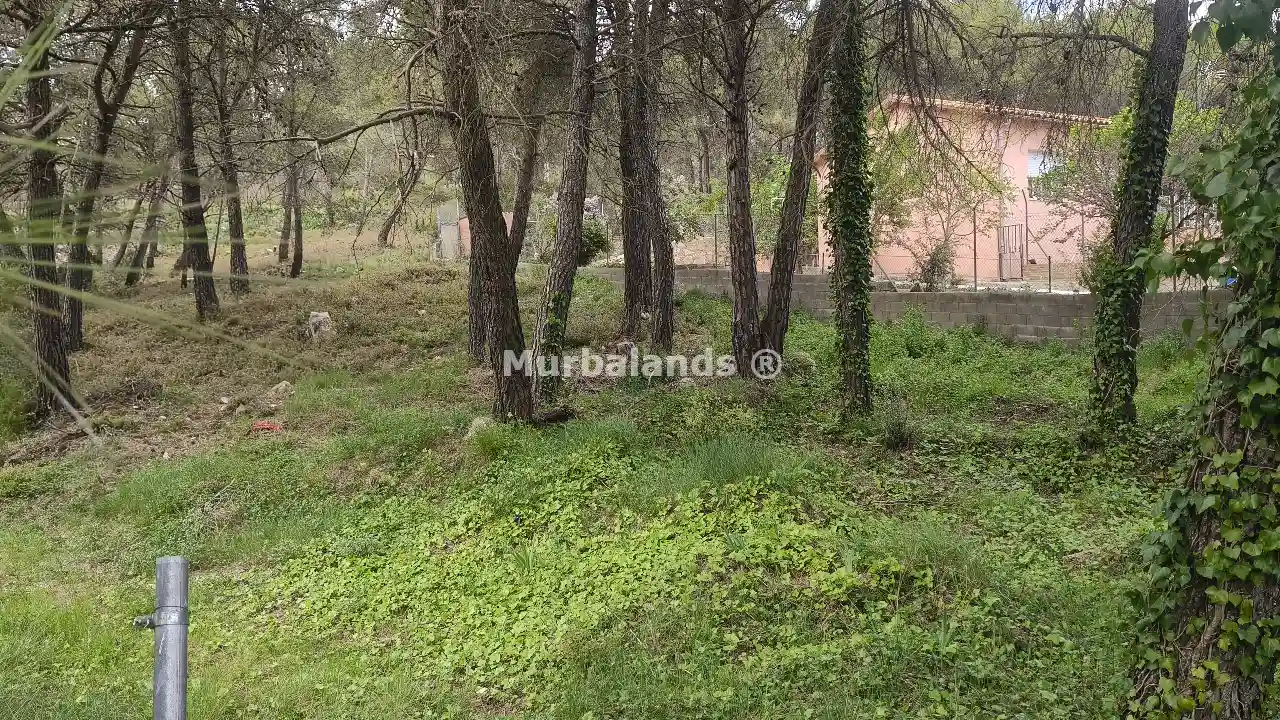 Foto del anuncio Ref. 00005344