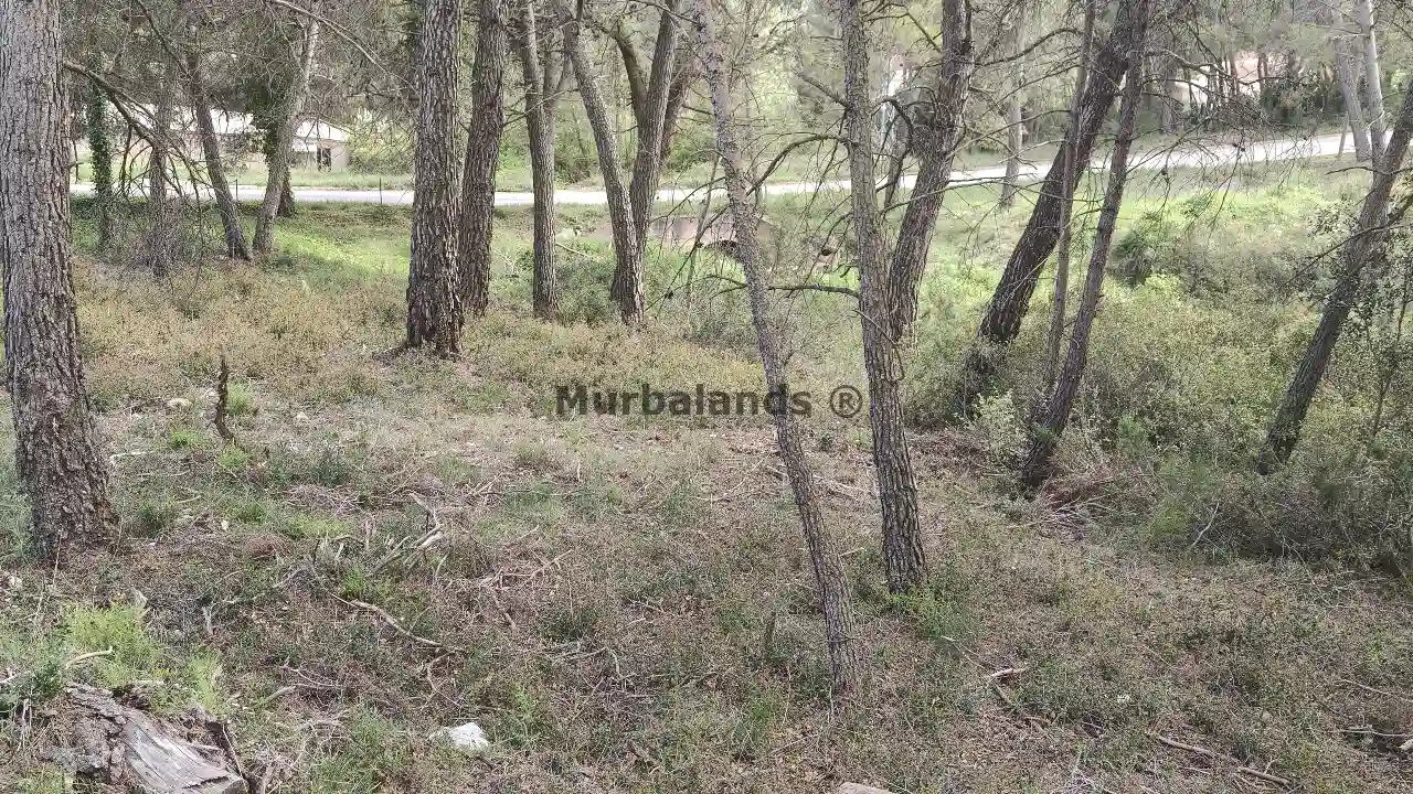 Foto del anuncio Ref. 00005344