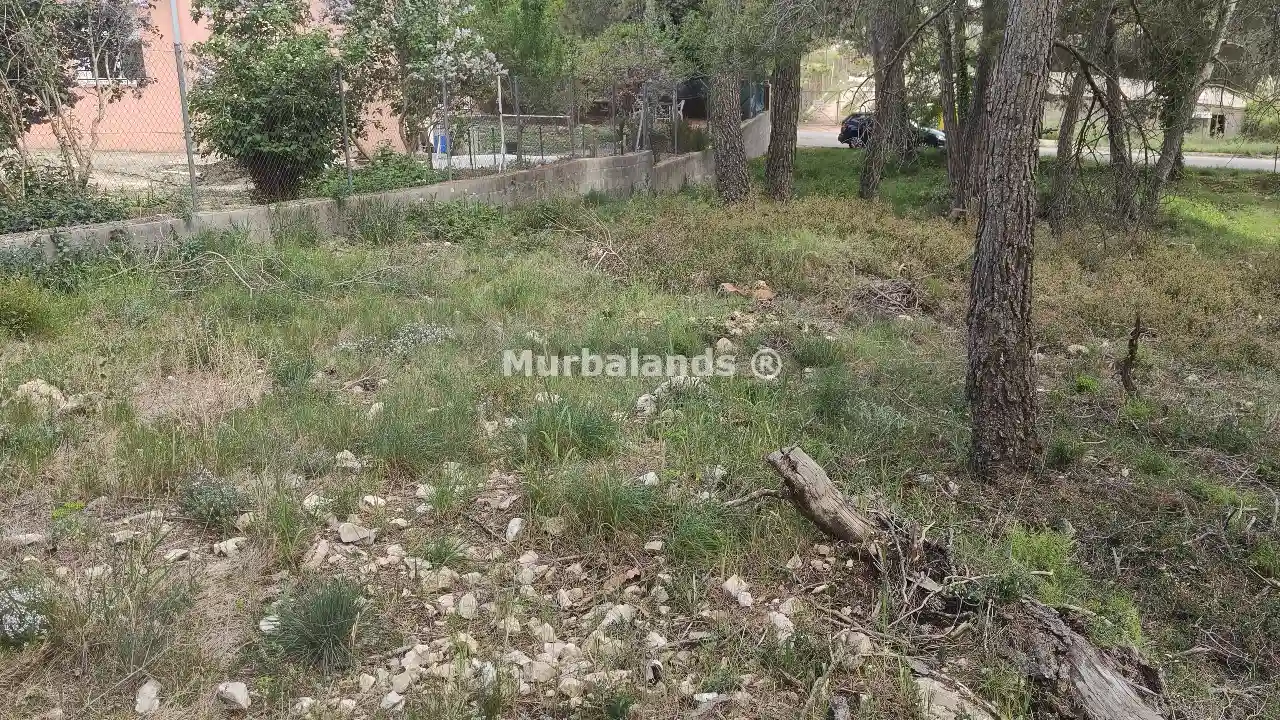 Foto del anuncio Ref. 00005344