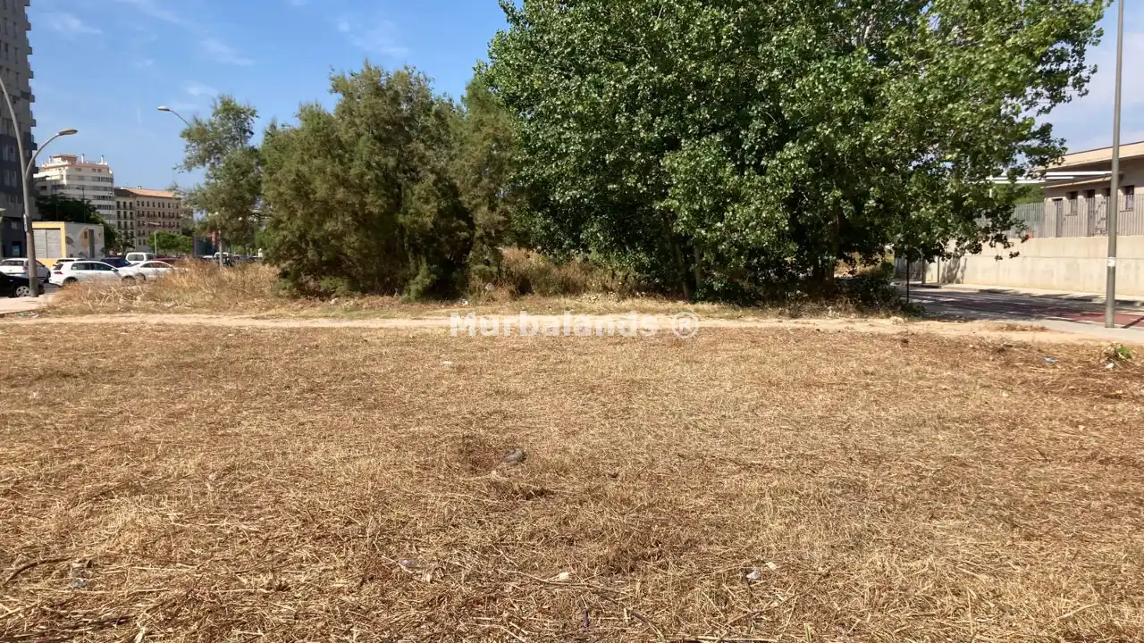 Foto de un terreno o una obra parada para mostrar en el detalle del inmueble