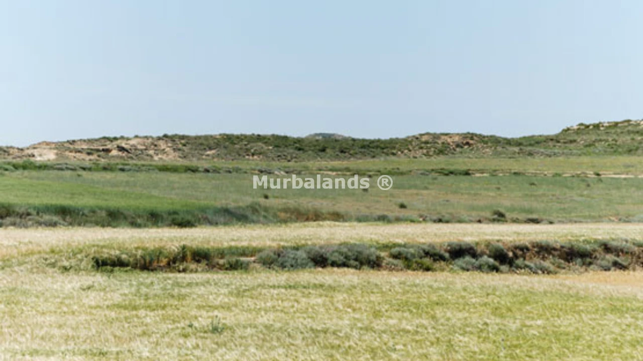 Foto de un terreno o una obra parada para mostrar en el detalle del inmueble