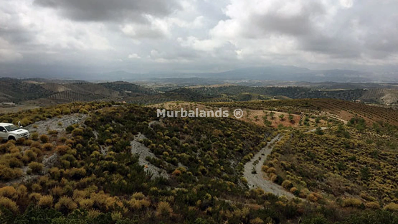 Foto de un terreno o una obra parada para mostrar en el detalle del inmueble