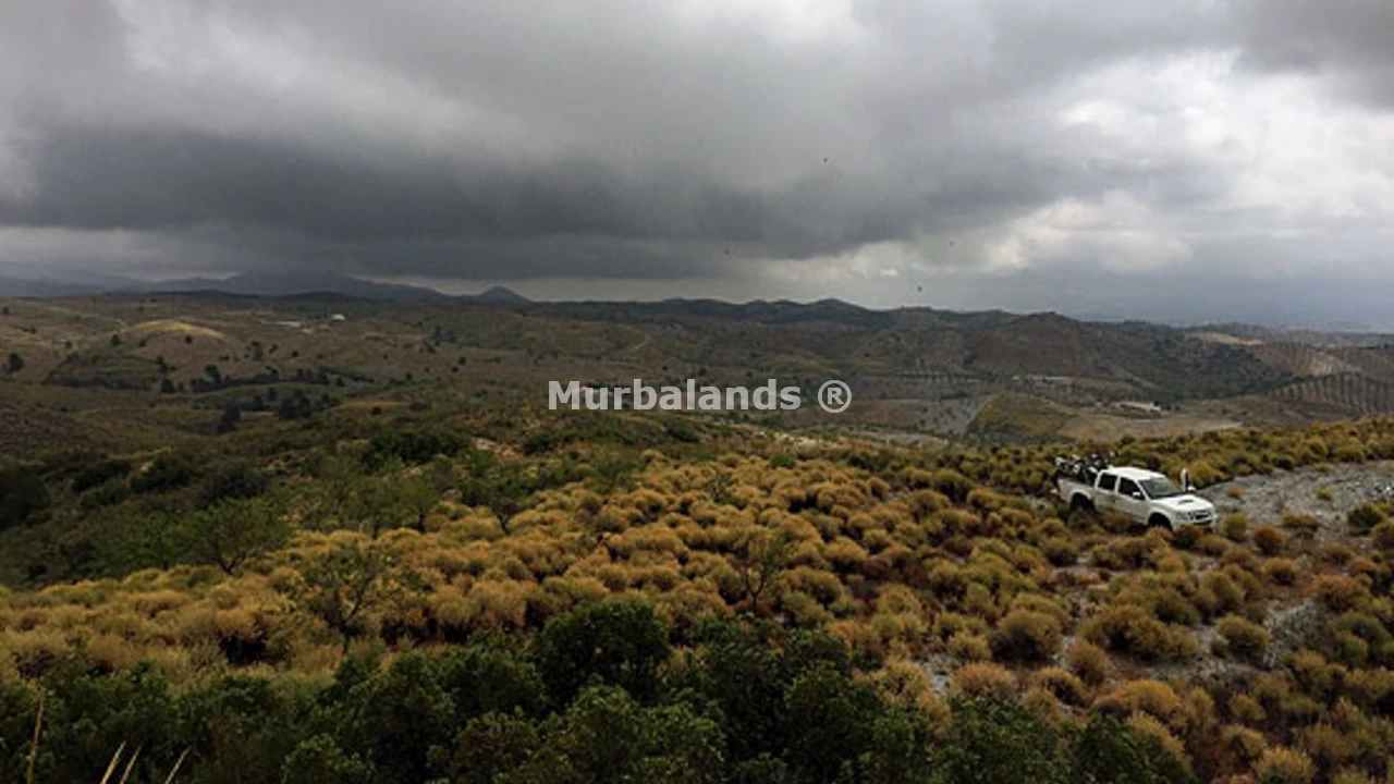 Foto de un terreno o una obra parada para mostrar en el detalle del inmueble