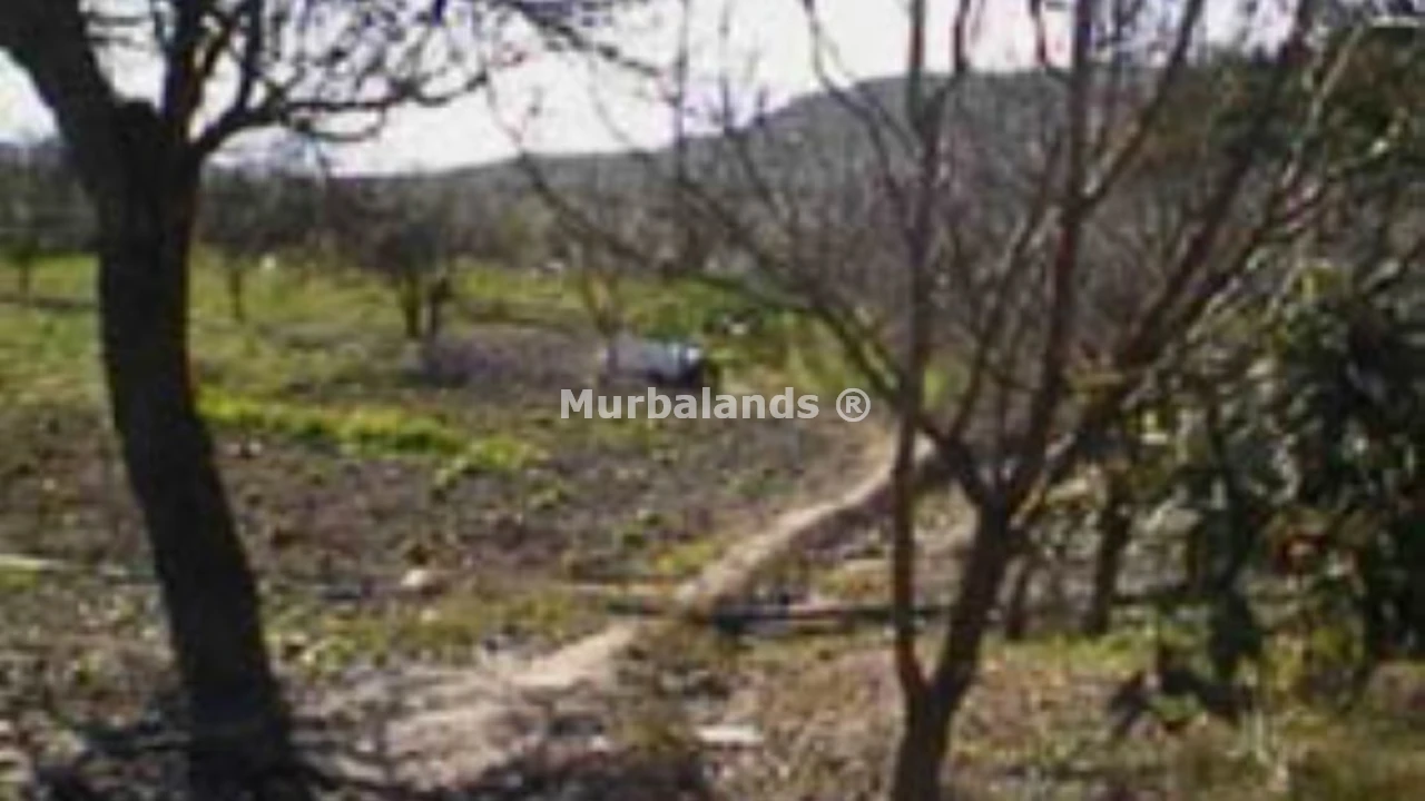 Foto de un terreno o una obra parada para mostrar en el detalle del inmueble