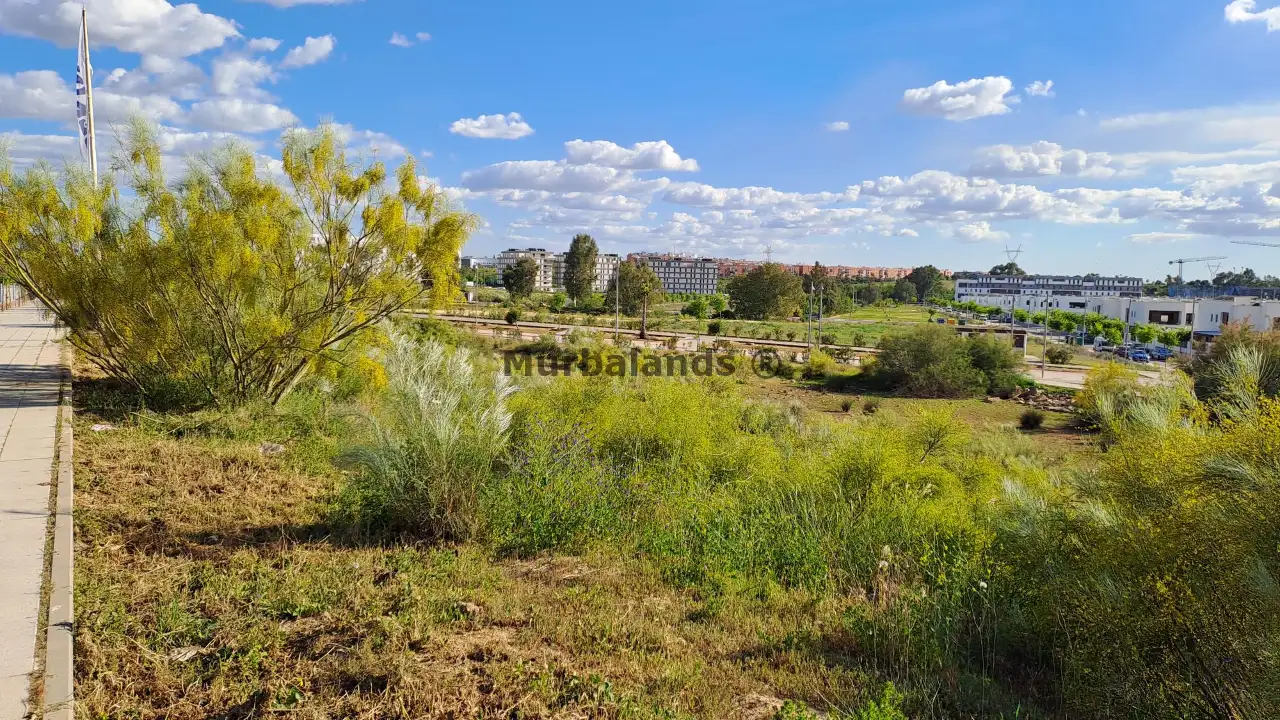 Foto del anuncio Ref. 00005314