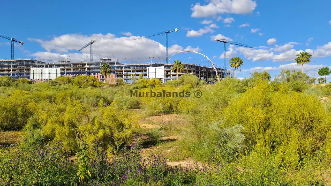 Foto del anuncio Ref. 00005314