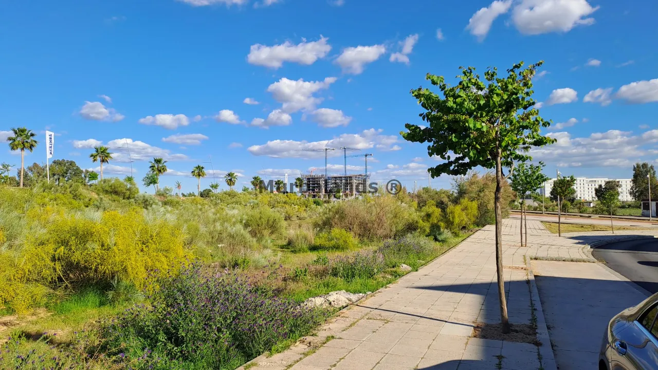 Foto del anuncio Ref. 00005314