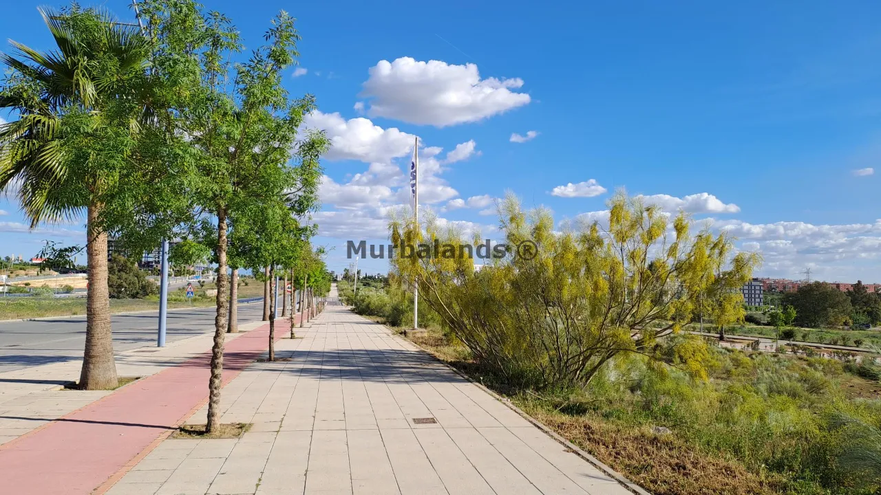 Foto del anuncio Ref. 00005314