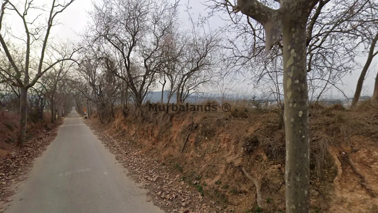 Foto del anuncio Ref. 00005302