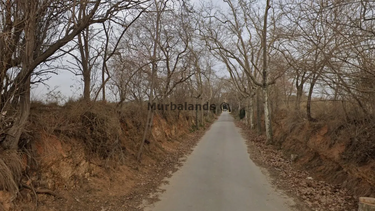 Foto del anuncio Ref. 00005302