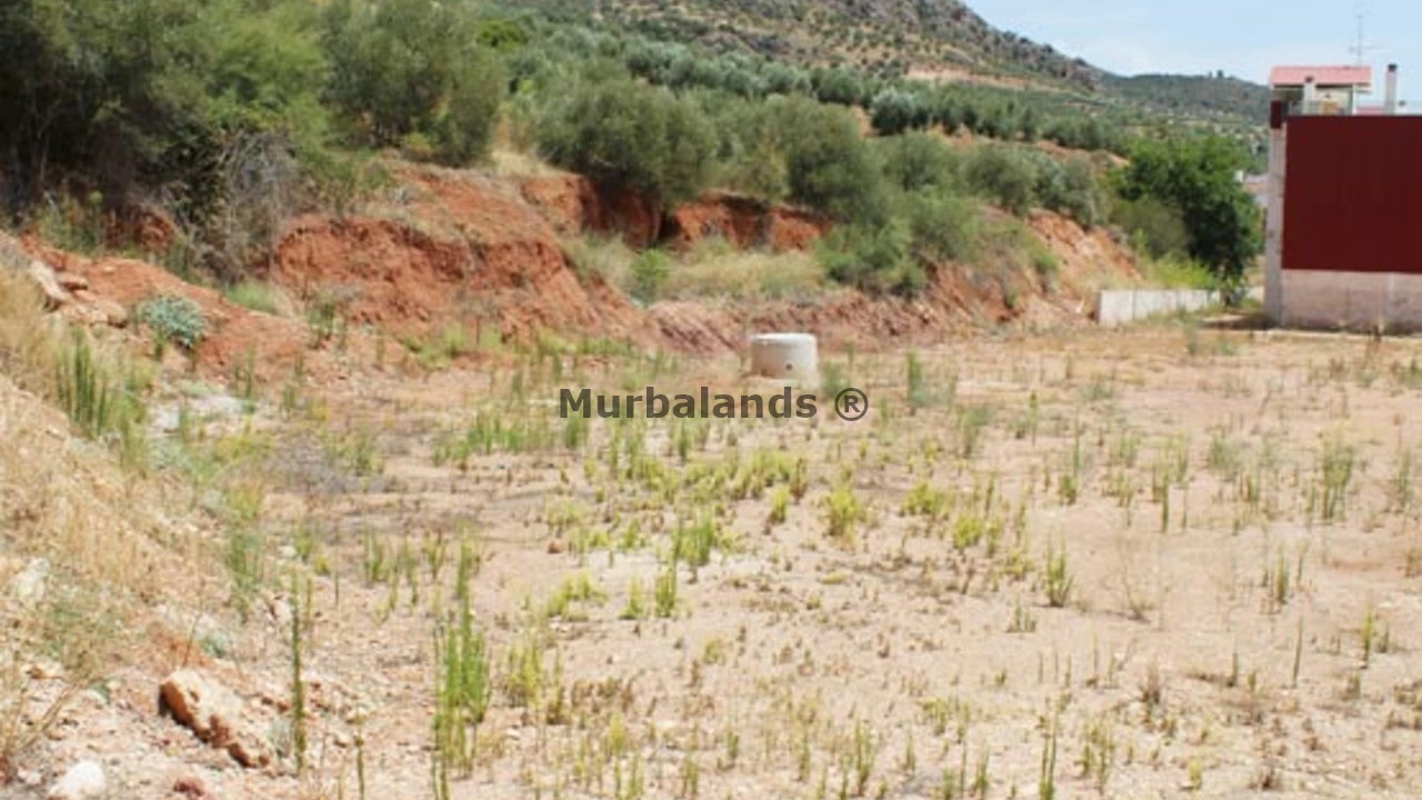 Foto de un terreno o una obra parada para mostrar en el detalle del inmueble
