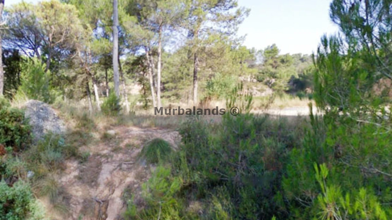 Foto de un terreno o una obra parada para mostrar en el detalle del inmueble