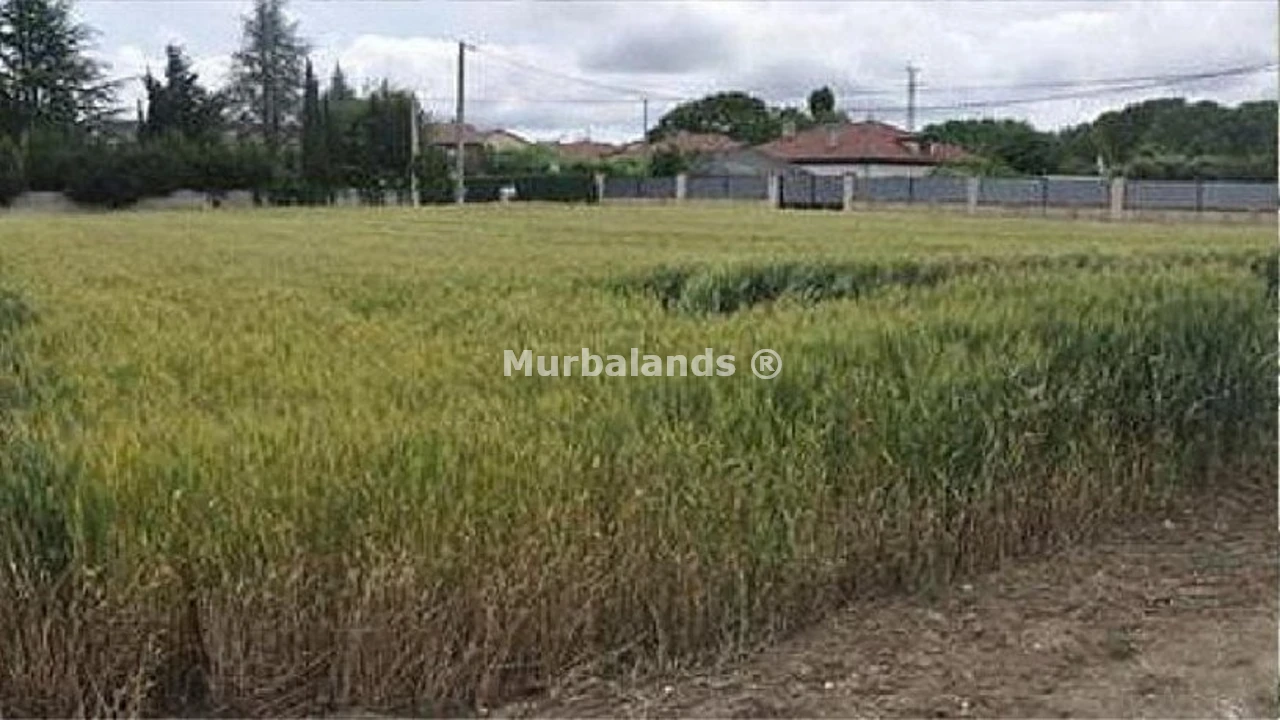 Terreno destacado