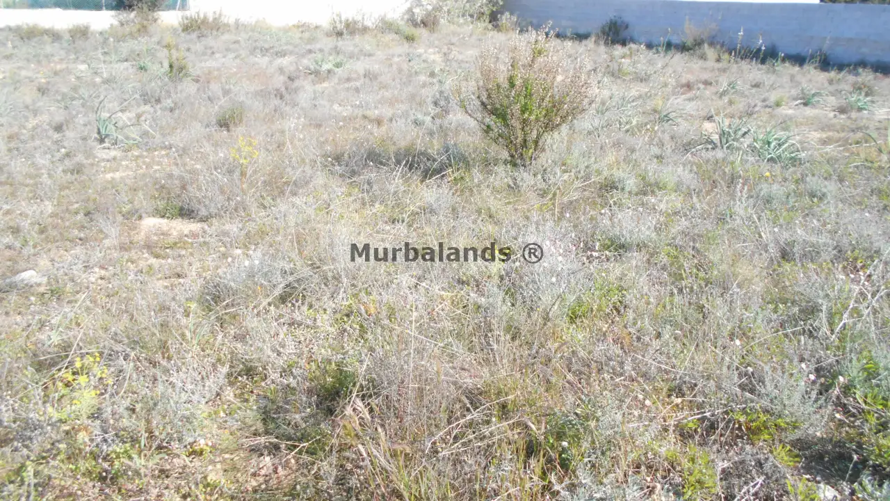 Foto del anuncio Ref. 00005265