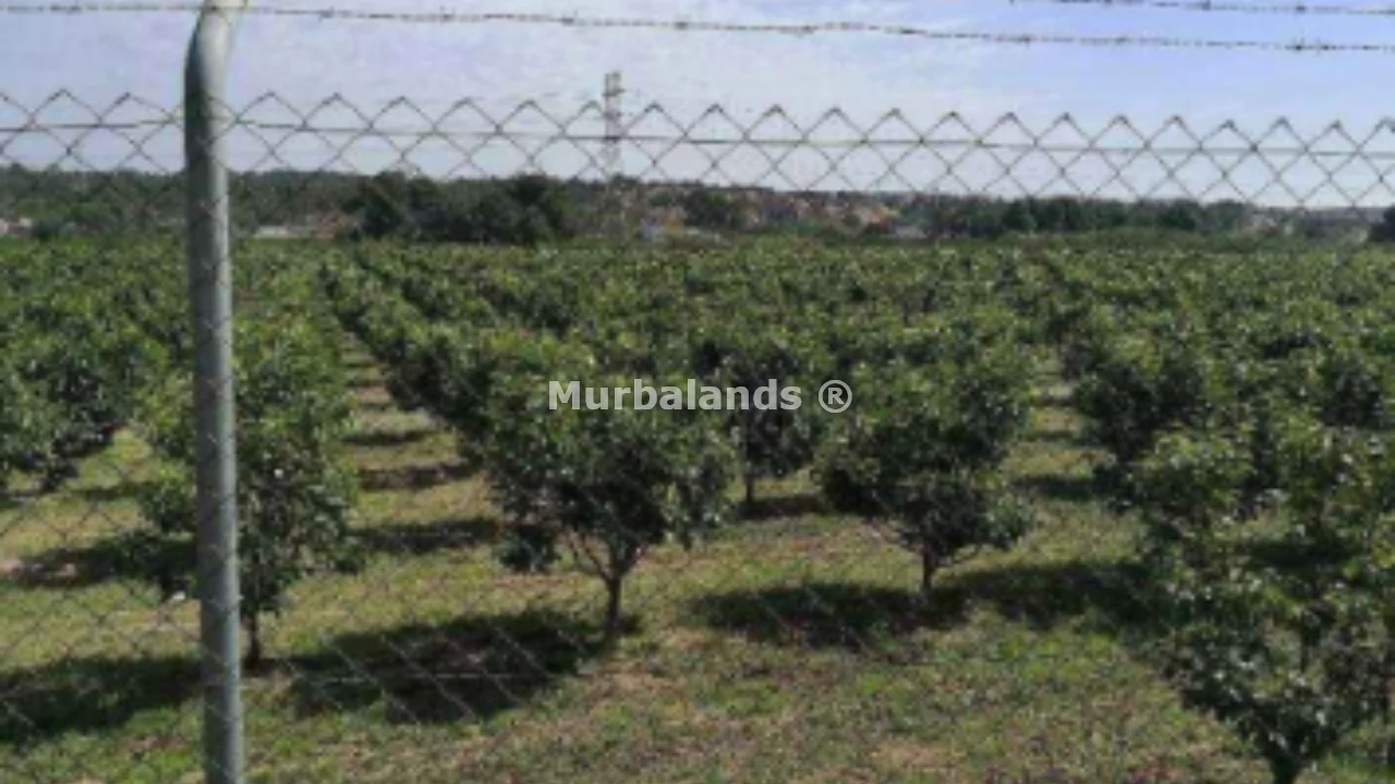 Foto del anuncio Ref. 00005263