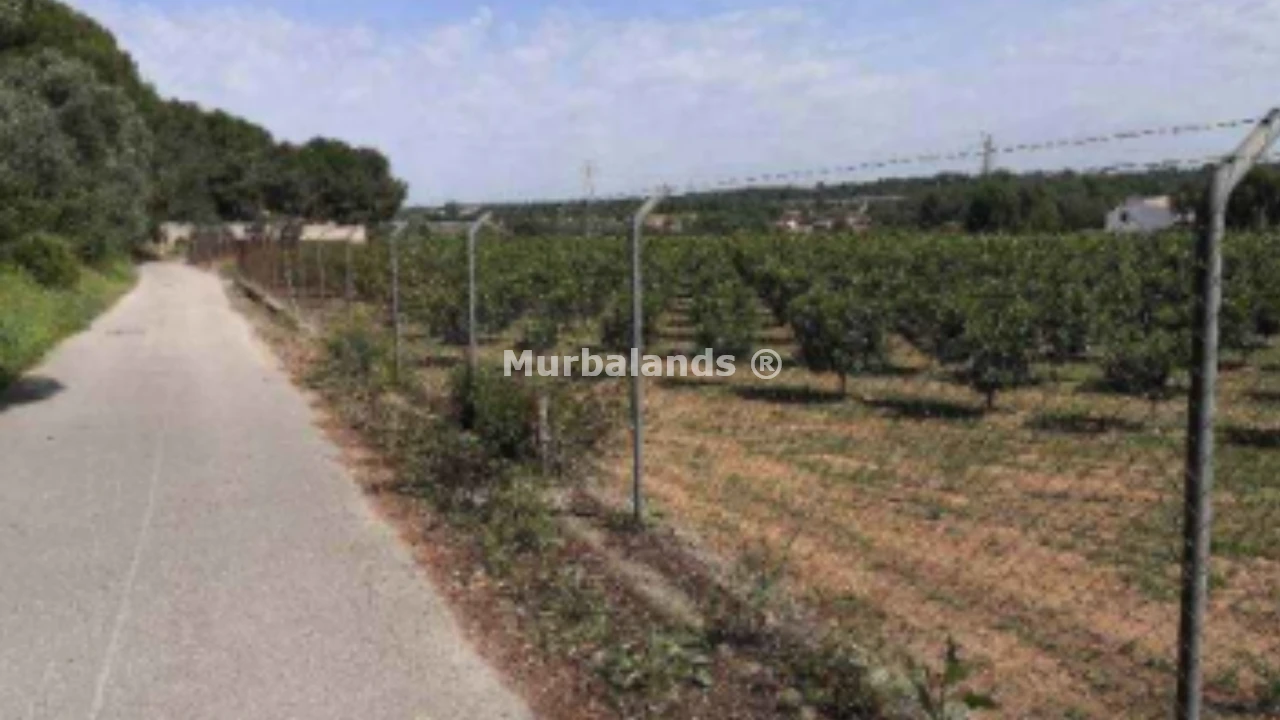 Foto del anuncio Ref. 00005263