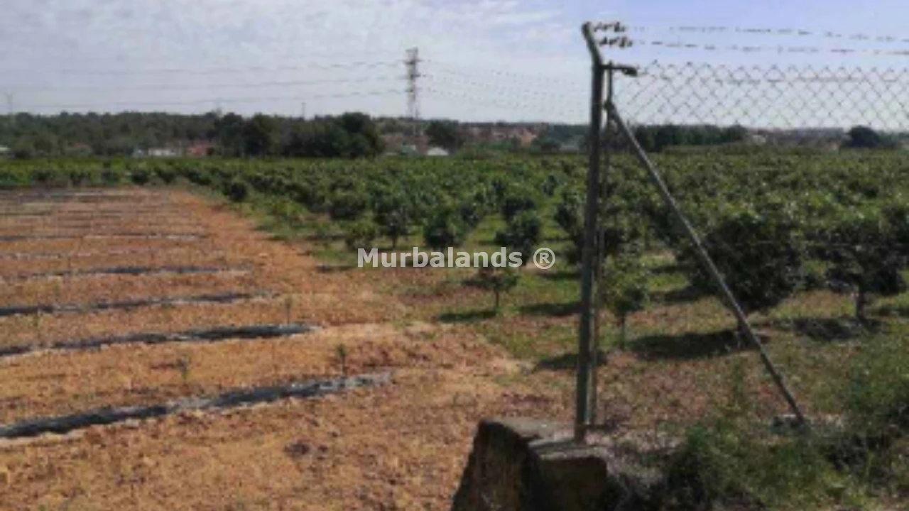 Foto del anuncio Ref. 00005263