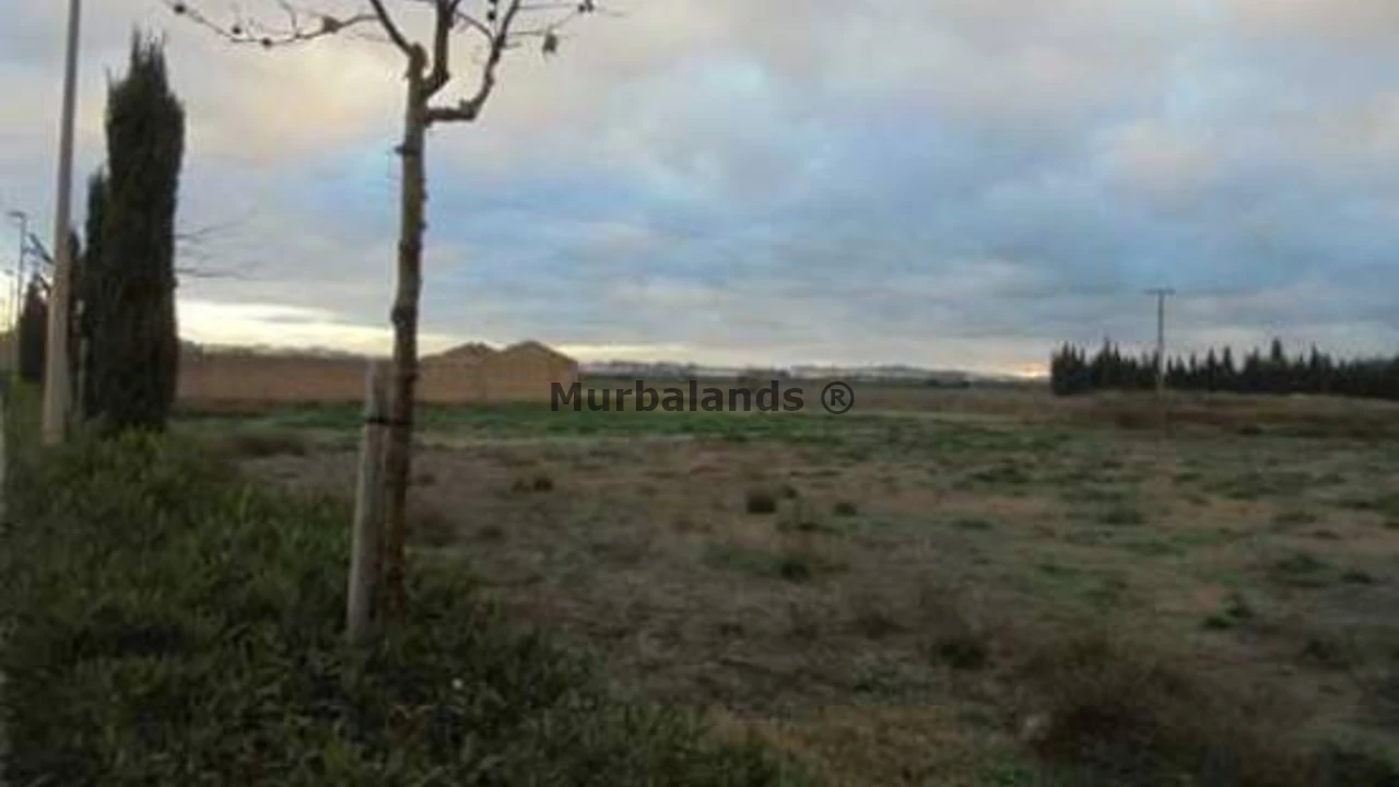 Foto de un terreno o una obra parada para mostrar en el detalle del inmueble