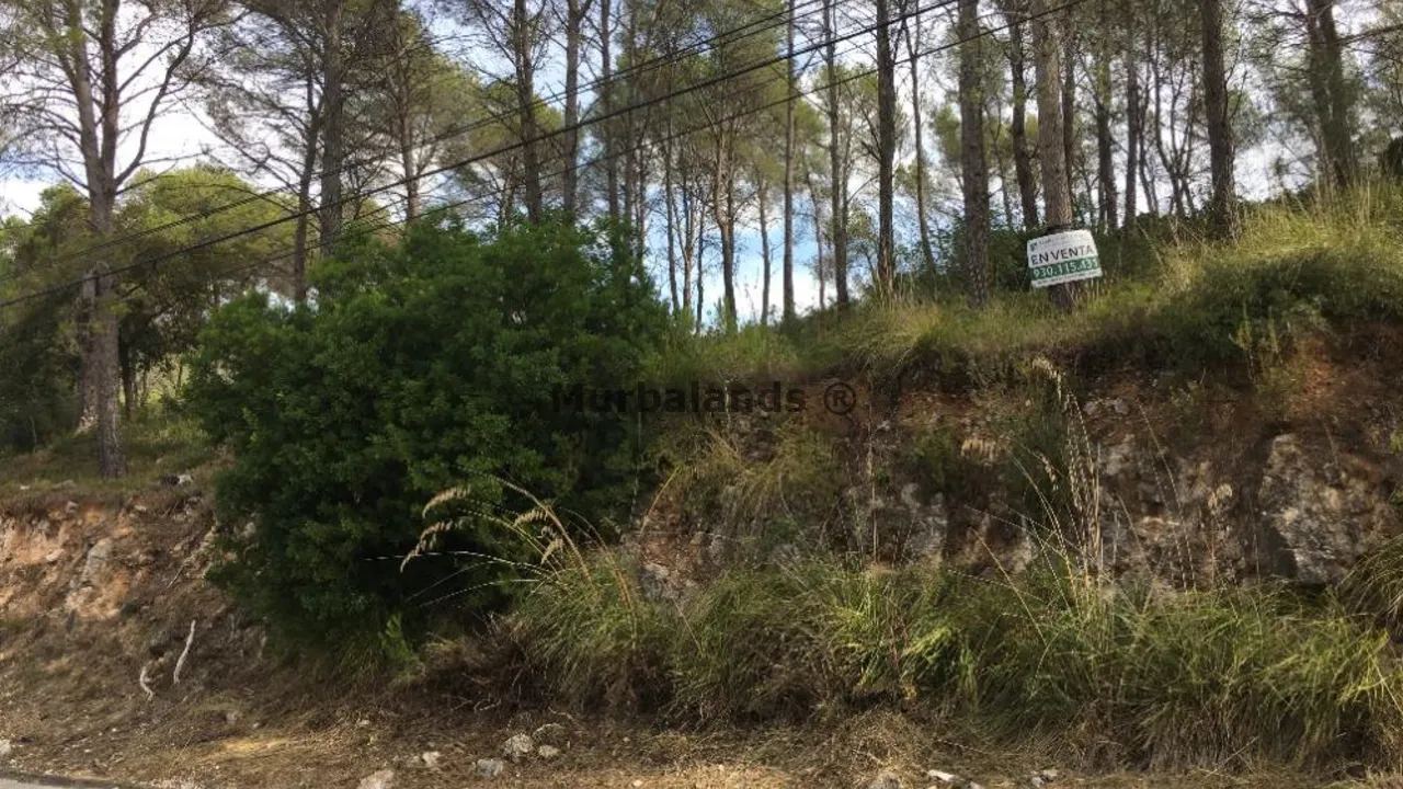Terreno destacado