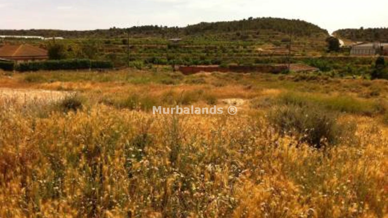 Foto de un terreno o una obra parada para mostrar en el detalle del inmueble