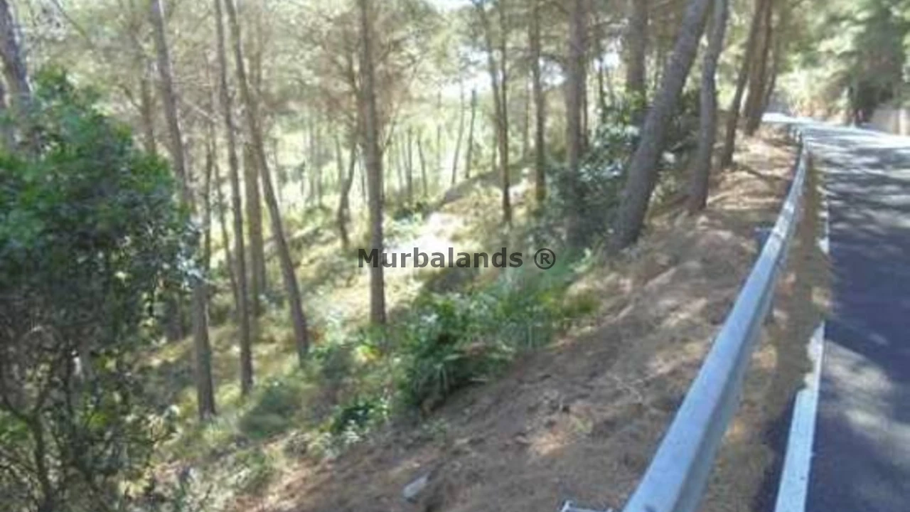 Foto de un terreno o una obra parada para mostrar en el detalle del inmueble