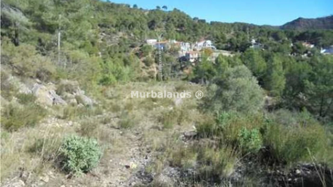 Foto de un terreno o una obra parada para mostrar en el detalle del inmueble