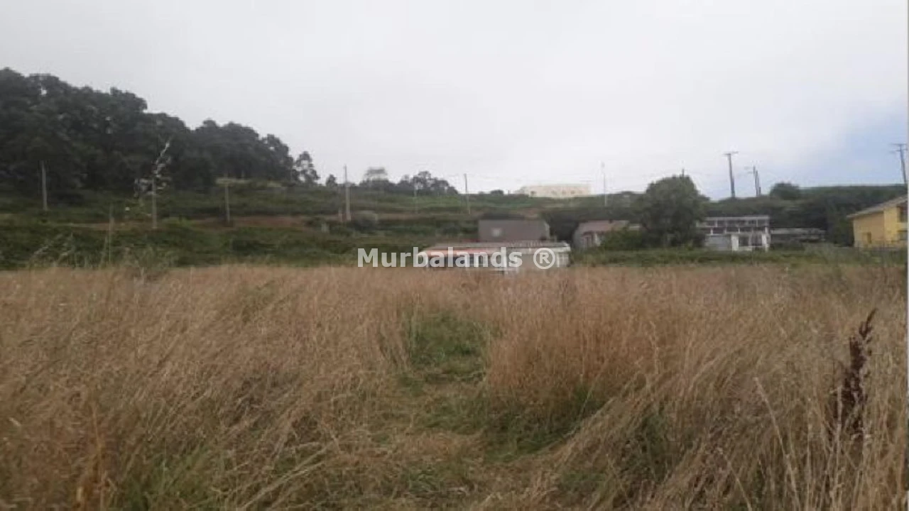 Foto del anuncio Ref. 00005811