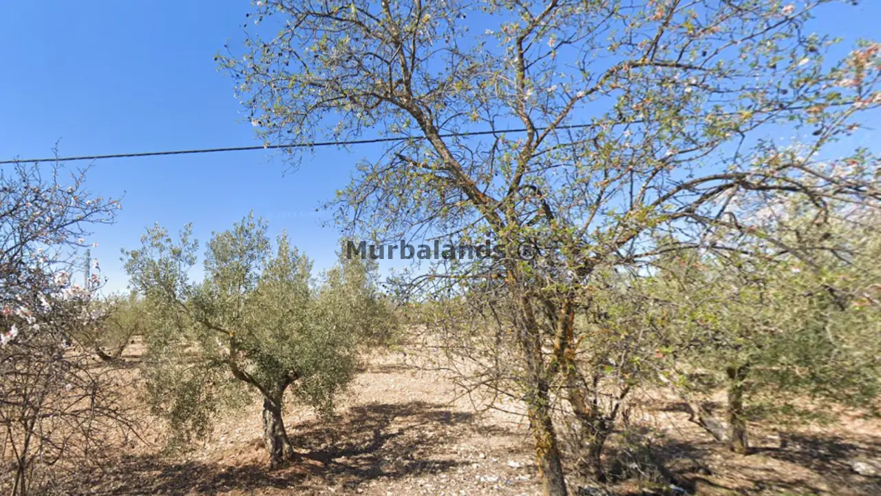 Foto de un terreno o una obra parada para mostrar en el detalle del inmueble
