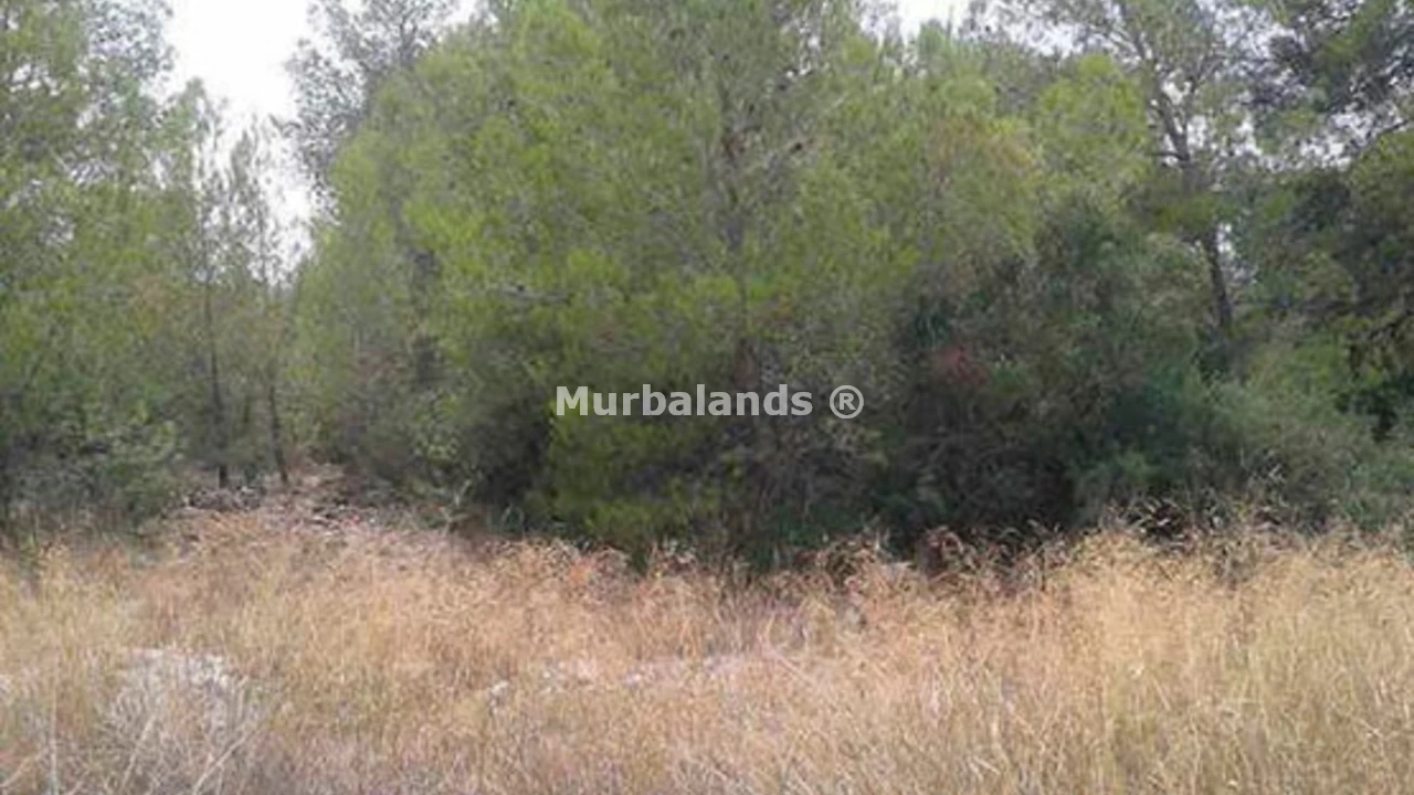 Foto de un terreno o una obra parada para mostrar en el detalle del inmueble