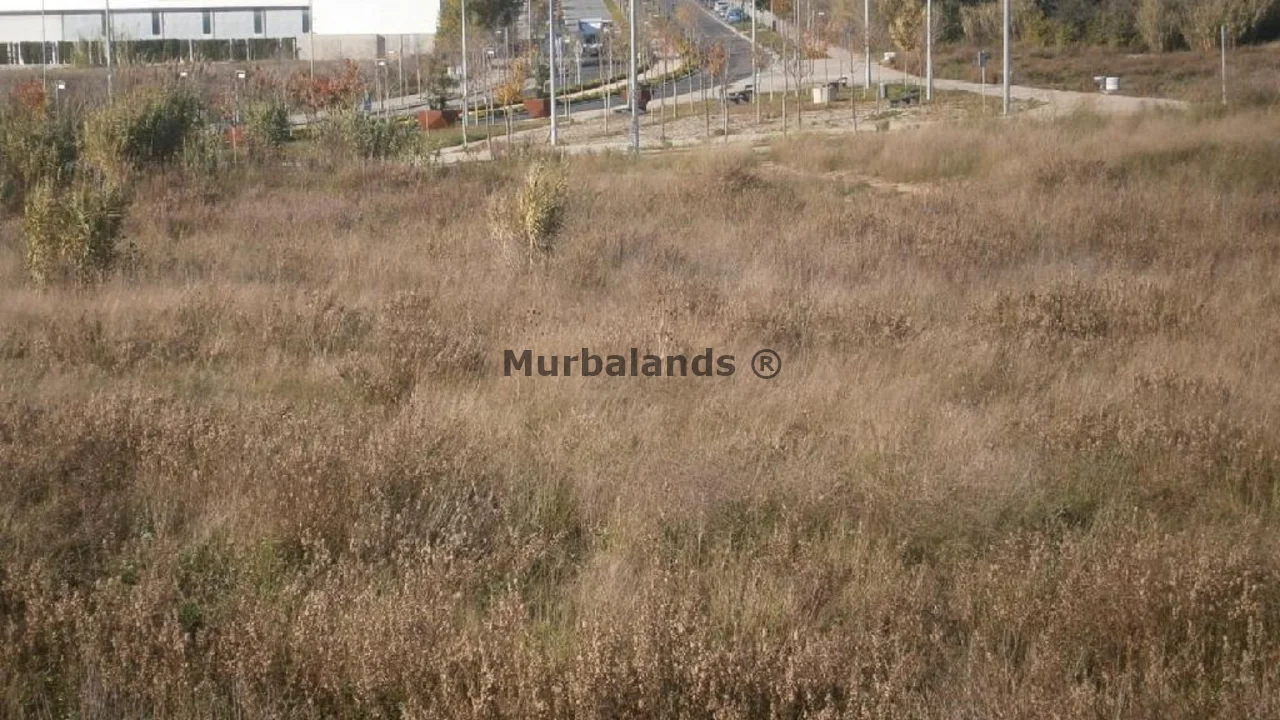 Foto de un terreno o una obra parada para mostrar en el detalle del inmueble