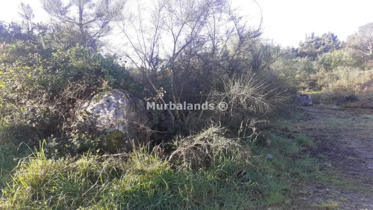 Foto de un terreno o una obra parada para mostrar en el detalle del inmueble