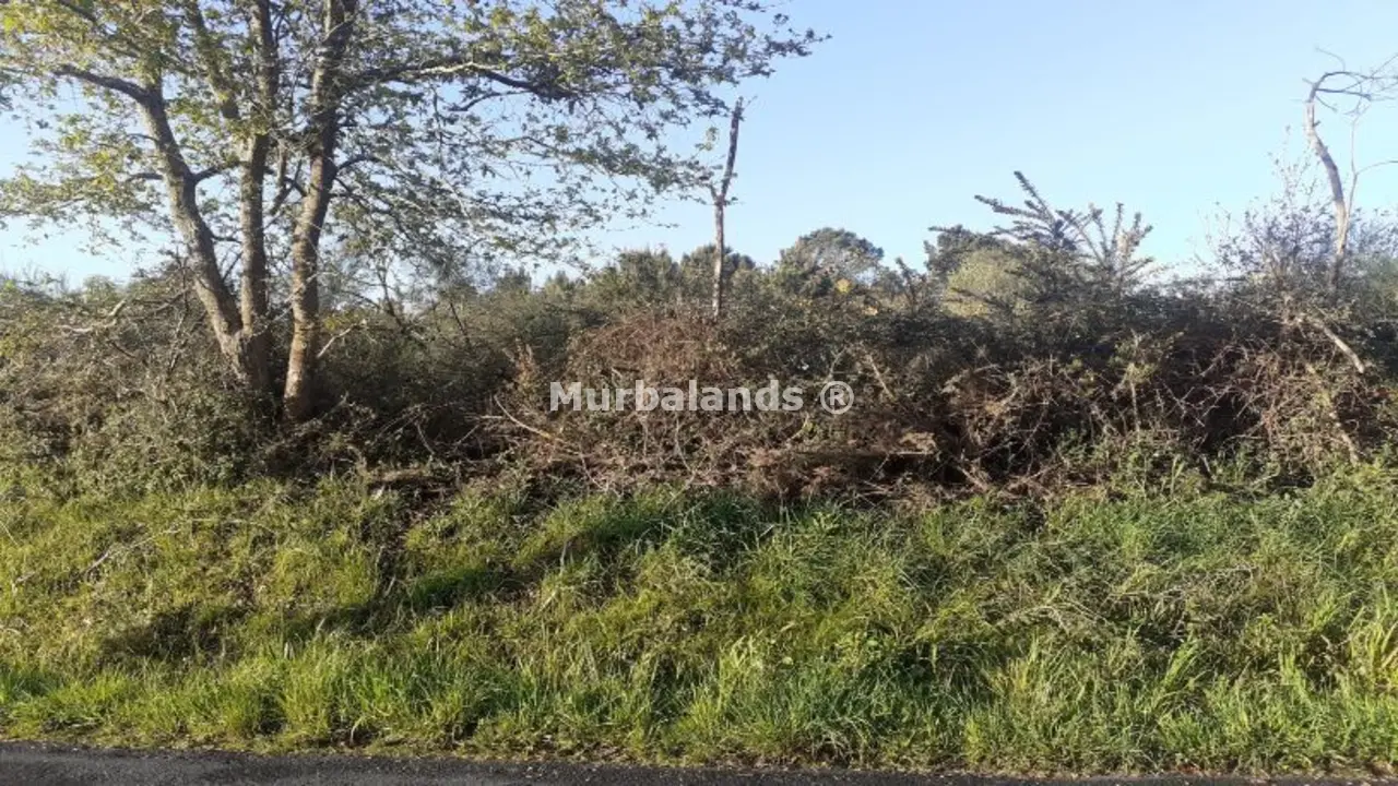 Foto de un terreno o una obra parada para mostrar en el detalle del inmueble