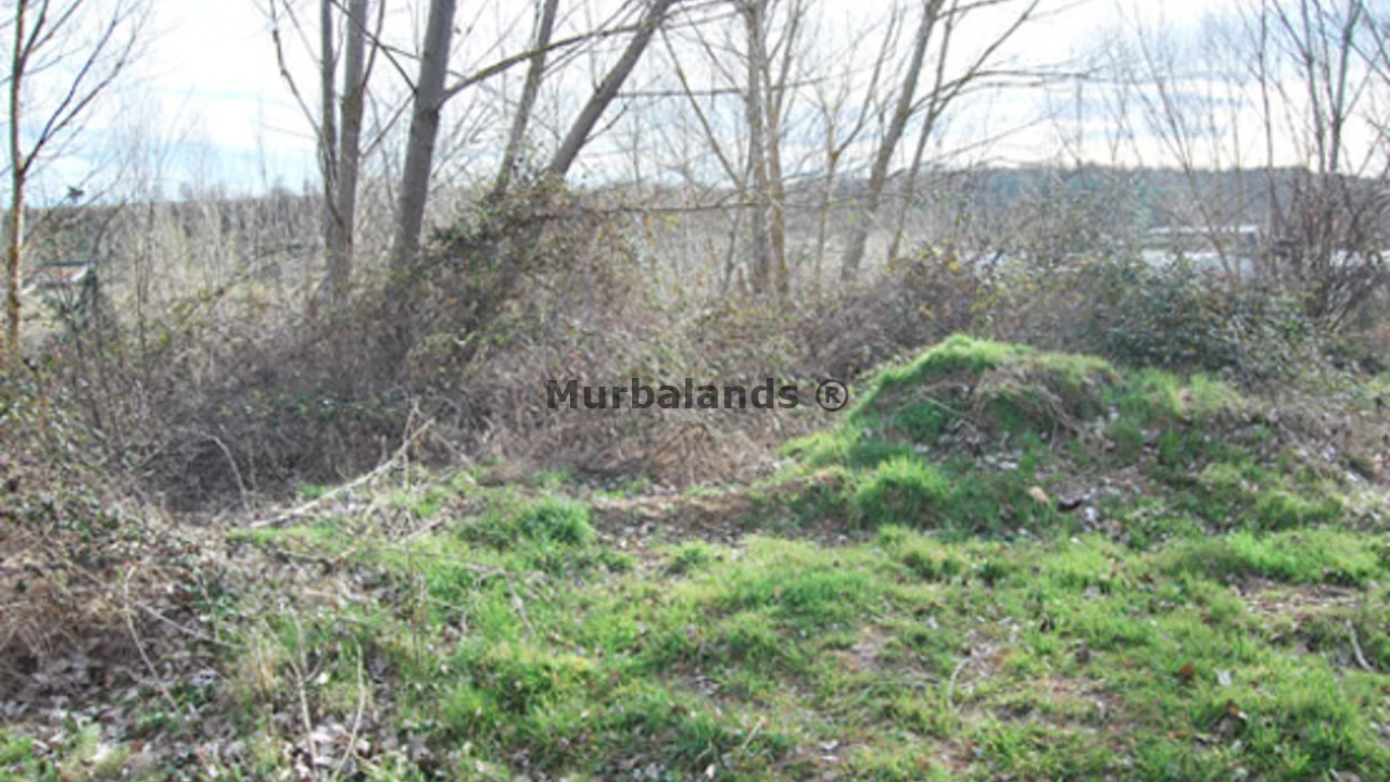 Foto de un terreno o una obra parada para mostrar en el detalle del inmueble