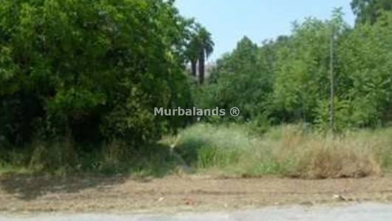 Foto de un terreno o una obra parada para mostrar en el detalle del inmueble