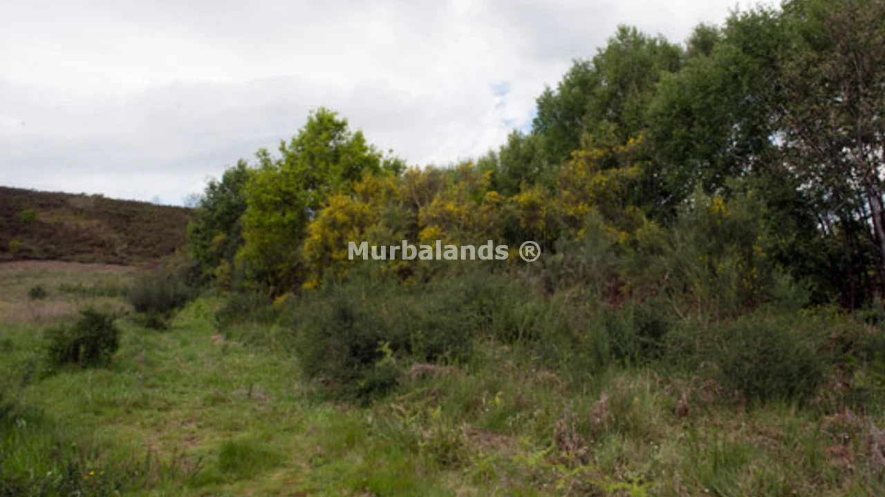 Foto de un terreno o una obra parada para mostrar en el detalle del inmueble