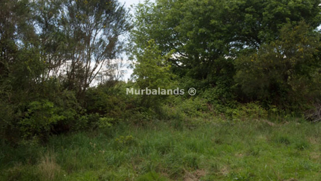 Foto de un terreno o una obra parada para mostrar en el detalle del inmueble