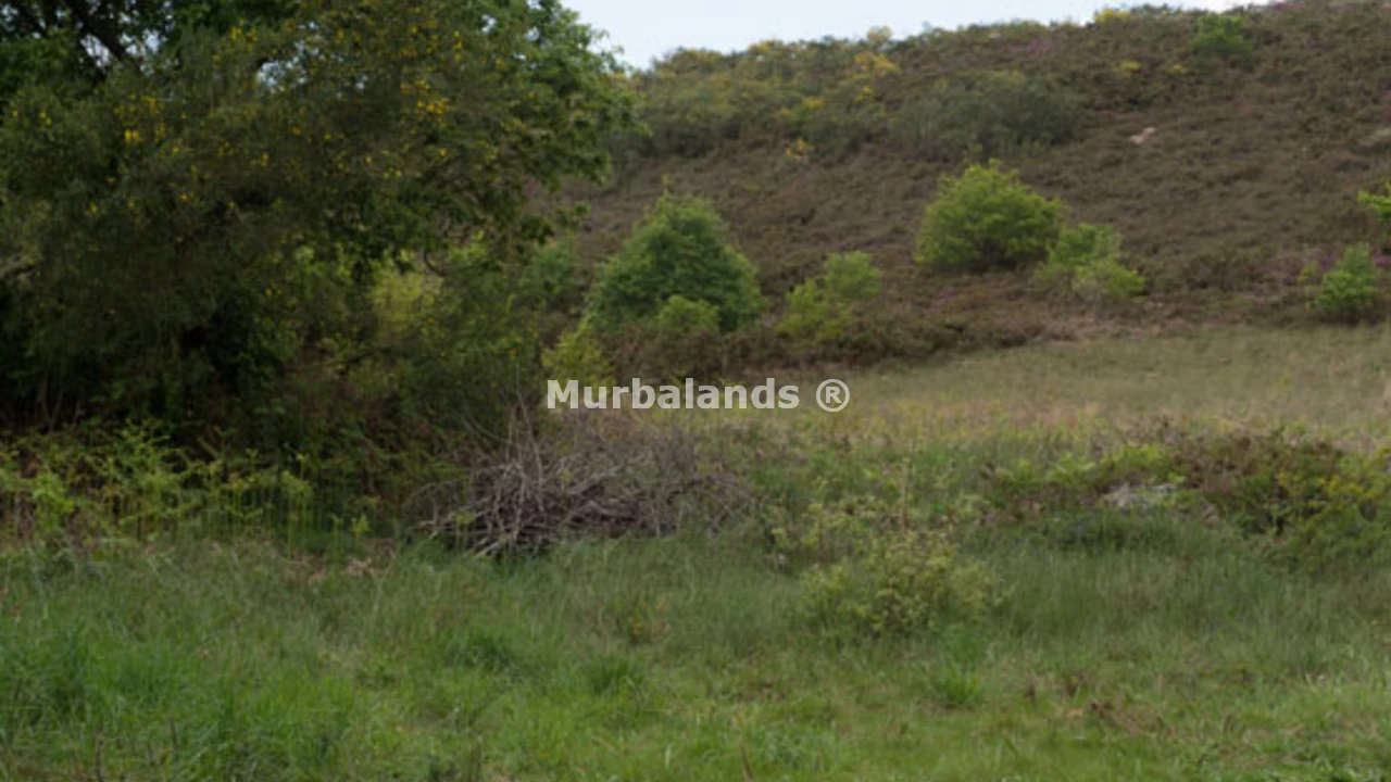 Foto de un terreno o una obra parada para mostrar en el detalle del inmueble