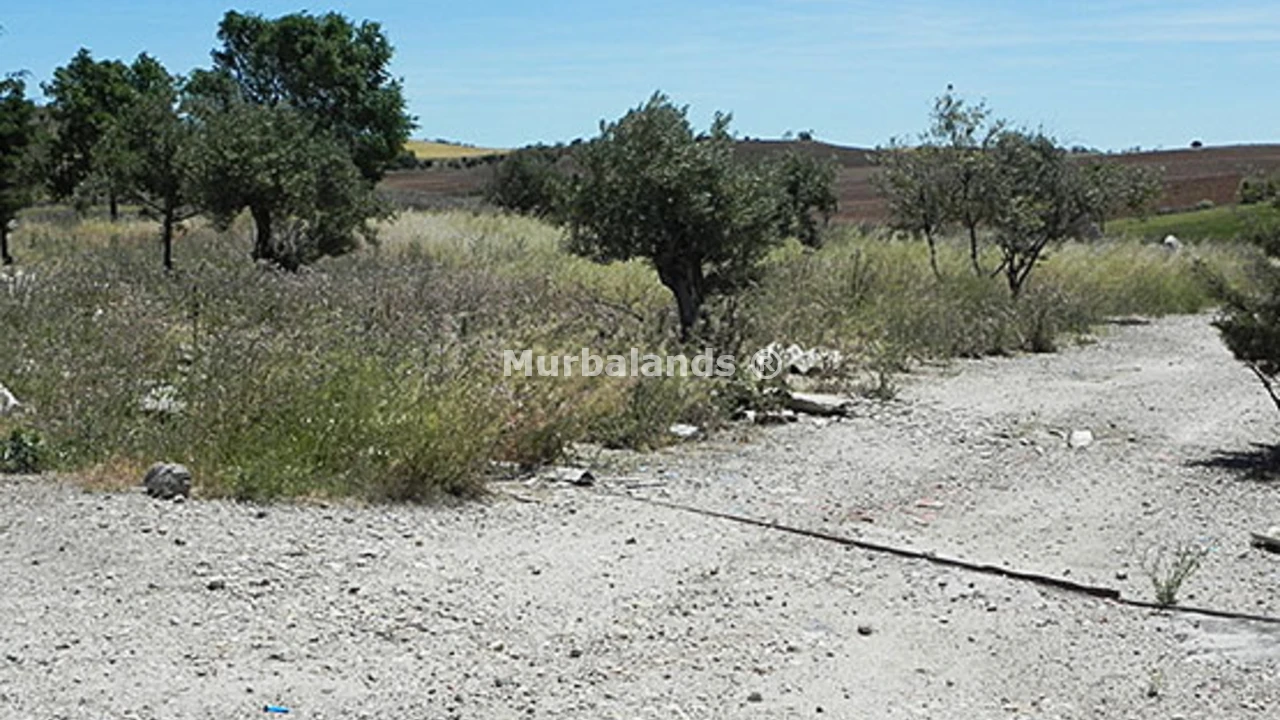 Foto de un terreno o una obra parada para mostrar en el detalle del inmueble