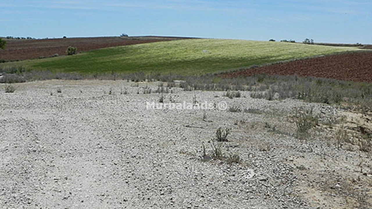Foto de un terreno o una obra parada para mostrar en el detalle del inmueble