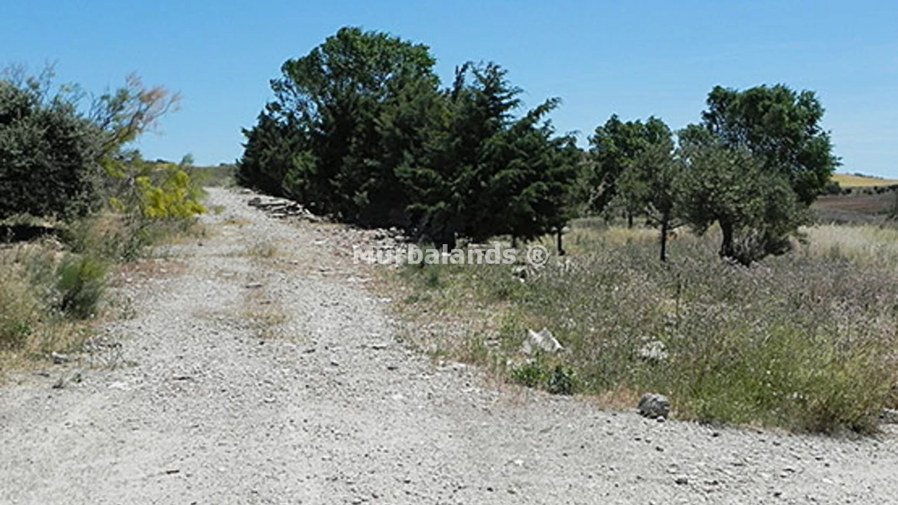 Foto de un terreno o una obra parada para mostrar en el detalle del inmueble