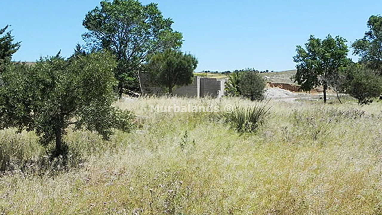 Foto de un terreno o una obra parada para mostrar en el detalle del inmueble