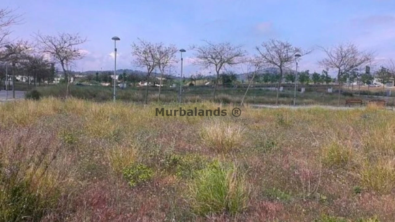 Terreno destacado