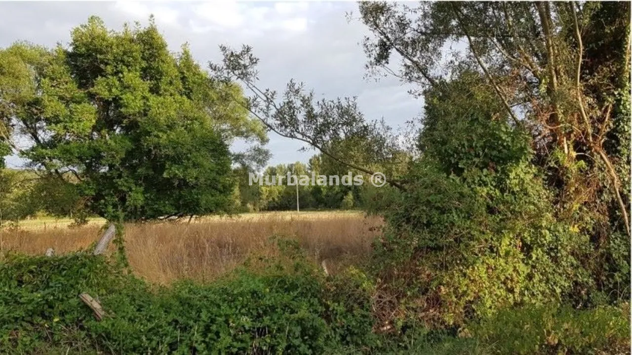 Foto de un terreno o una obra parada para mostrar en el detalle del inmueble