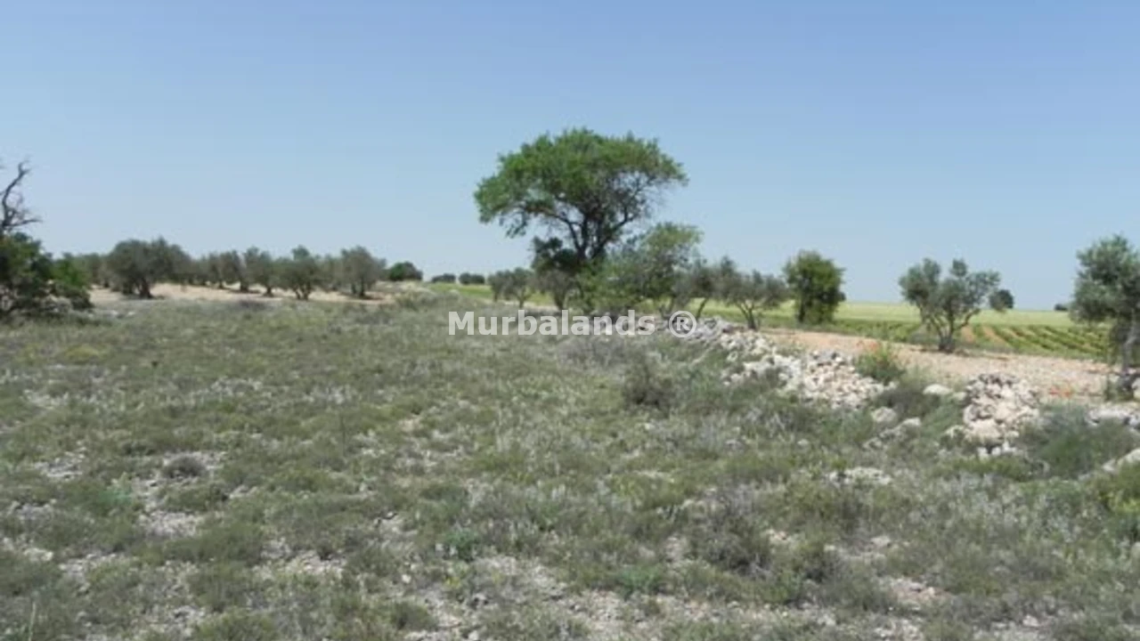 Terreno destacado